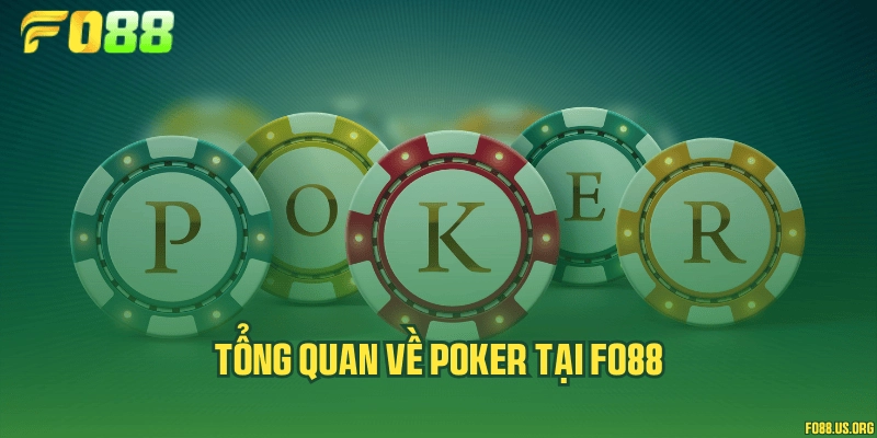 Tổng quan về Poker tại Fo88